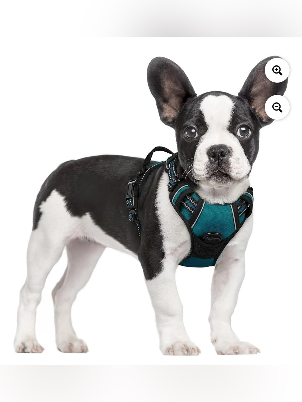 RabbitGoo Dog Adjustable 2 Leash Clips Dog Harness | Size S